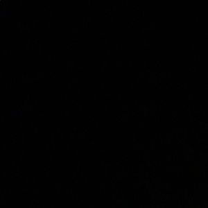 Meet your Posher, Dalton